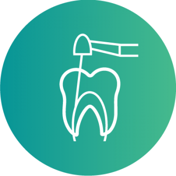 Endodontie